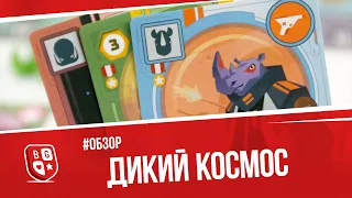 Обзор настольной игры Дикий космос