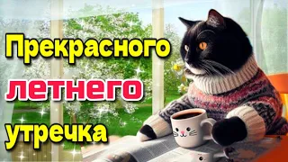 🌞🌷💗Самого доброго весеннего утра! Благословенного дня!💗🥀🌼Красивая музыкальная открытка