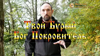 Твой Бурый Бог Покровитель. [Ведзнич]