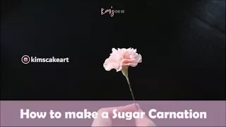 How to make a Sugar Carnation │Gum Paste Flower │ Sugar Flower