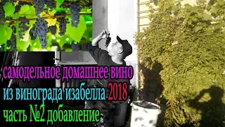 самодельное домашнее вино из изабеллы 2018 ч2