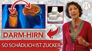 So schädlich 💀 ist Zucker 🙊 für unser Mikrobiom | Mikrobiom Praxis