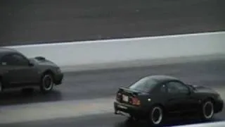 2001 Cobra vs 2004 Mach 1 #2