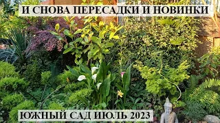 СНОВА ПЕРЕСАДКИ ! Прогулка по южному саду / ДИНАМИКА САДА / Цветущий сад в июле 2023