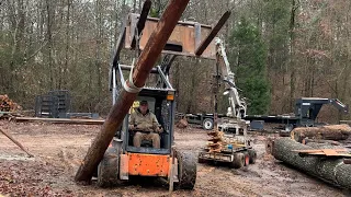 Sawmill shed Part 1, starting on our sawmill shed, quarter sawing a huge oak, cutting “cookies”