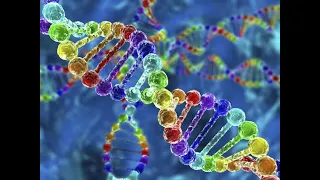 DNA Recombination, Gene Editing, CRISPR   Biochemistry, and Molecular Biology