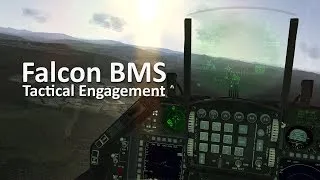 Falcon BMS: Tactical Engagement