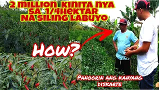 FARMER Paano KIKITA ng MILYON sa SILING LABUYO- Secrets Revealed