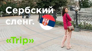 Сербский сленг. TRIP