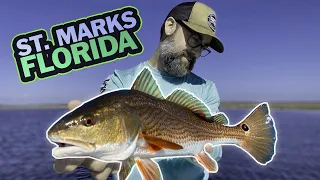 St. Marks Florida Inshore Slam! Big Bend flats fishing on the "Boom Coast"
