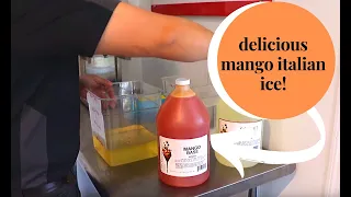 Make a Delicious Mango Italian Ice with I.Rice and Electrofreeze