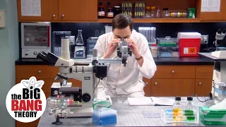 Sheldon Spends His Vacation in Amy's Lab | The Big Bang Theory