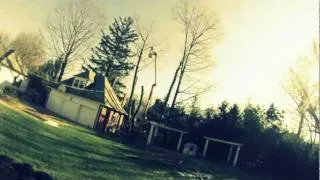 Time Lapse Tree Removal 1/32/12