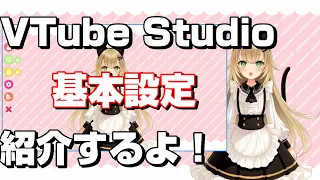 VTubeStudioの基本設定を紹介するよ！〜Live2Dを動かしてVTuberになる！〜