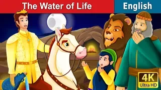 The Water Of Life Story | Stories for Teenagers | @EnglishFairyTales