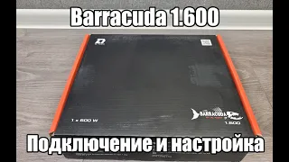 DL Audio Barracuda 1.600 - Обзор, подключение, настройка