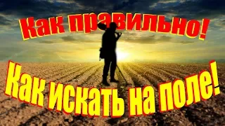 #Урок.Как правильно искать монеты на поле, советы начинающим.