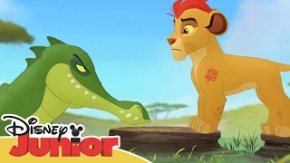 La Guardia del León: Momentos Especiales - Makuu | Disney Junior Oficial