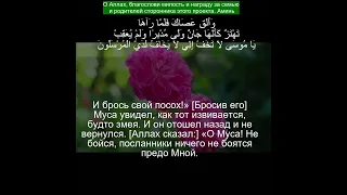 Коран Сура Ан-Намль | 27:10 | Чтение Корана с русским переводом | #quran #qurantranslation