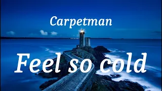 Carpetman - Feel so cold (lyrics)