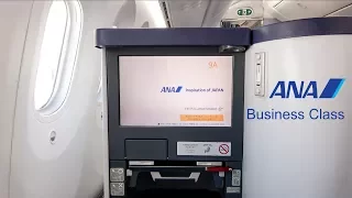 [4K] ANA 全日空 787 Business Class Experience | San Jose - Tokyo Narita | Flight Report | 中文字幕