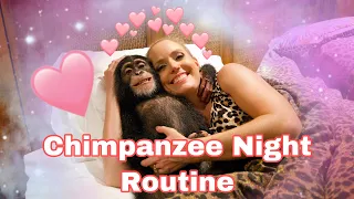 Baby Chimp Night Routine
