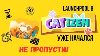 МАЙНИНГ УЖЕ НАЧАЛСЯ - НЕ ПРОПУСТИ! Лаунчпул Catizen/Catizen-Mantl