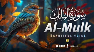 Surah Al Mulk سورة الملك (The Kingdom)| Beautiful Recitation | Ramadan Special 2024 | Zikrullah TV