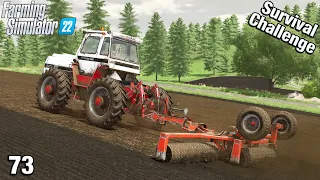 LOT'S OF ARABLE WORK TO GET DONE TODAY - Survival Challenge FS22 Calm Lands Ep 73