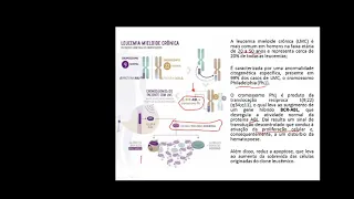 Aula Leucemias Crônicas