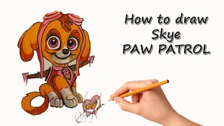 How to draw Paw Patrol, Skye | Как нарисовать Скай , Щенячий патруль | Cómo dibujar Paw Patrol