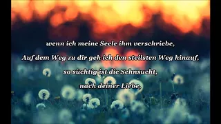 Roland Kaiser-Im 5. Element (Lyrics und Wunschvideo)