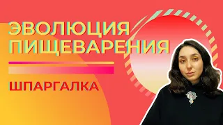 Пищеварительная система животных, эволюция — Шпаргалка. ЦТ, ЕГЭ, ЗНО.