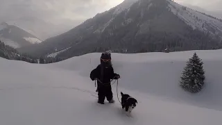 Der Bär macht eine Schneeschuhwanderung in Berwang in der Tiroler Zugspitz Arena