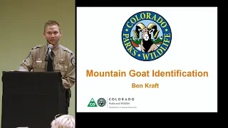 Colorado Hunting Tips: 'How to ID Mountain Goats'