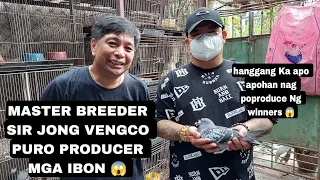 MASTER BREEDER SIR JONG VENGCO