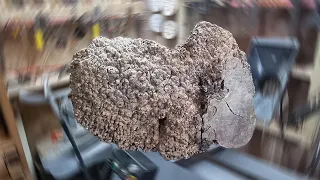 I was BANNED from turning this - Woodturning the Big Elm Burl