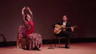 Flamenco 101 | Kristofer Hill with Julia Chacon | TEDxLSU