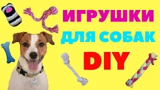 ИГРУШКИ ДЛЯ СОБАК СВОИМИ РУКАМИ | ТЕСТ ДРАЙВ ИГРУШЕК НА ДЖЕК РАССЕЛ ТЕРЬЕРАХ