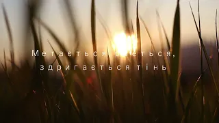 Трава-подорожник / Таїсія Наконечна / сучасна українська поезія
