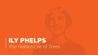 The Hidden Life of Trees by Ily Phelps