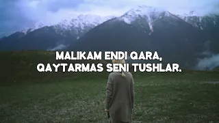 Sardor Rahimxon - Malikam endi qara | Lyrics | Matni | Karaoke