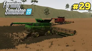 Colheita de canola Farming Simulator 23 Mobile Gameplay