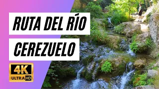 CAZORLA Sendero del Río Cerezuelo - 4K