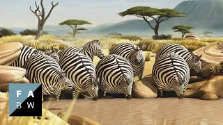 Rollin' Safari (2012) - Animated short films | Official trailers ITFS 2013 & fmx 2013