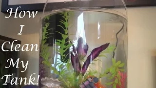 How To Clean the 3 Gallon Tetra Halfmoon Aquarium