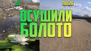 Затопило участок? Как избавиться от воды на участке? Как осушить участок? Дренаж.