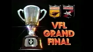 1984 VFL AFL GRAND FINAL HAWTHORN V ESSENDON