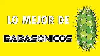 Lo mejor de Babasonicos (AUDIO)