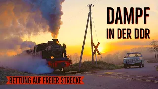 4K | Steam in the GDR | Rescue action on the track